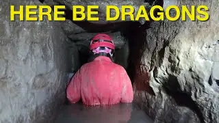 In Search of a Cave-Dwelling Dragon