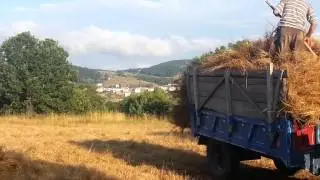 Yok böyle  bir  ses Tokat Reşadiye Yağsiyan köyünden Nizamettin Meydan