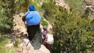 Bringing firewood in difficult conditions