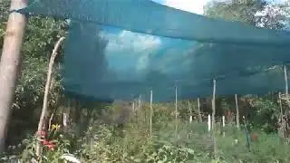 Наша дача. 15. 06. 2019 р. Ч 1