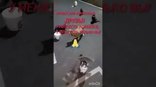 19 сентября 2024г
