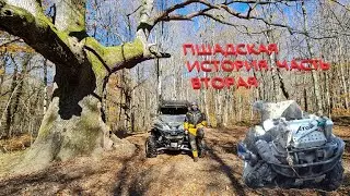 ПШАДСКАЯ ИСТОРИЯ. Часть вторая