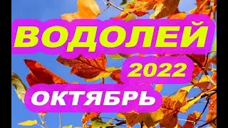 ТАРО ПРОГНОЗ ВОДОЛЕЙ ОКТЯБРЬ 2022