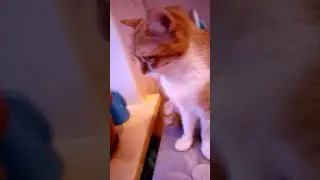 Щшщ