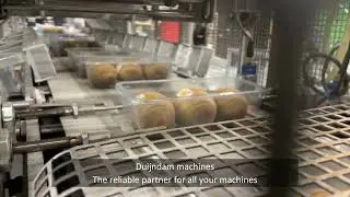 G. Mondini E 350 VG top seal packaging machine with denester