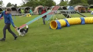 Melina und Faye Agility Hockenheim 14.05.2016
