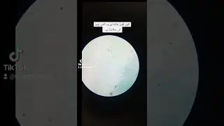 biology | compound microscope | hindi urdu science experiments