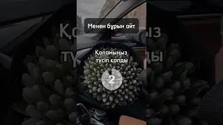 #орыстілі менен бұрын аудар