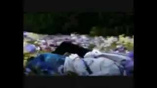 Lágrimas De Plata