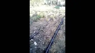 сажалка для рассады и не только)))версия 2.0))