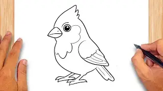 How to draw Cute Cardinal Bird