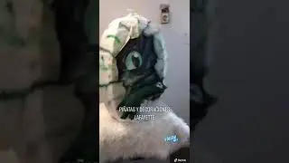 Piñata huevo sorpresa