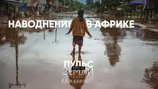 Пульс Земли: Утечка токсичного газа в Индии Наводнения и оползни в Кении Наводнения в Руанде. 7 мая