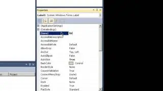 Current Username - Visual Basic 2010