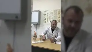 Плоскостопие — недооцененная проблема. Боровской Евгений — врач ортопед-травматолог