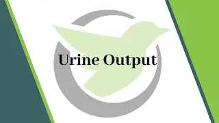 Washington Nurse Aide Skill #13: Urine Measure