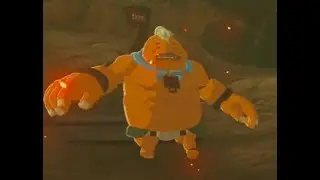 Funny, weird, and confusing BOTW and TOTK Moments