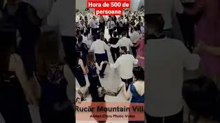 Hora cu 500 de persoane la Rucăr #shorts