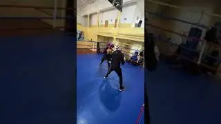 Light Sparring