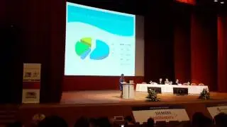 The state of the vaginal microbiota and the incidence of the sexually transmitted infections  (STI)