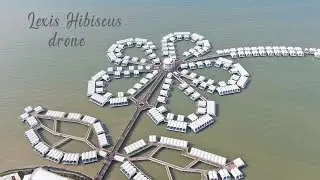 Lexis Hibiscus Drone