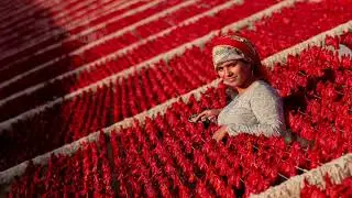 Uluslararası Tarım Orman ve İnsan Fotoğraf Yarışması 15. Yıl