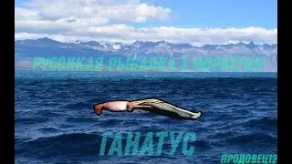 Русская рыбалка 3: Норвегия - Ловля Ганатуса