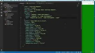 15  Adding webpack dev server