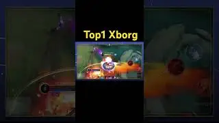Top1 Xborg 
