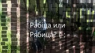 Бюджетный забор (ограда) из сетки 