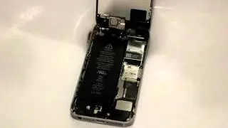 Teardown iPhone 5 SE w/Lavello