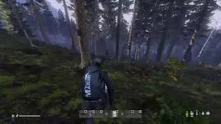 Live dayz rp fr