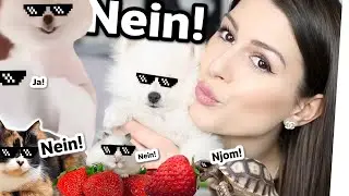 PREGNANT by a DOG? ​​🐶🤯 Clickbait with animals! 🐑 With Sarah Desideria & Simon Desue