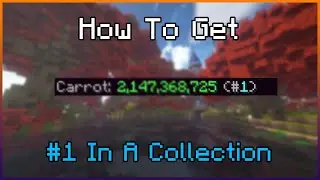 Hypixel Skyblock - How To Get #1 In A Collection!