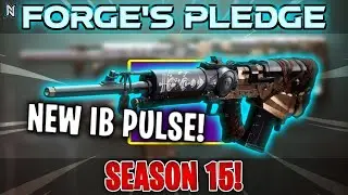 PICK THIS WEAPON UP! | FORGE'S PLEDGE PULSE RIFLE REVIEW | Destiny 2 Season of the Lost