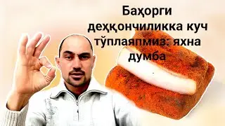 Деҳқончиликка куч тўплаяпмиз: яхна думба