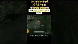 एक मा ने अपने बच्चे को कैसे बचाया माँ के लिए वीडियो को like जरूर करे