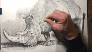Come disegnare un rinoceronte parte 13