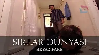 Sırlar Dünyası - BEYAZ FARE