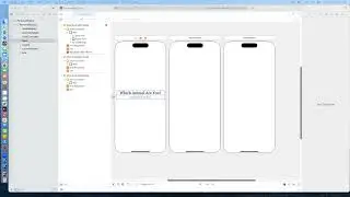 Swift Programming 2 - Personality Quiz App Build Part 1 - Spring 2024