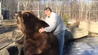 Обнимашки