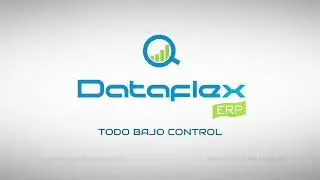 Presentación de Dataflex ERP
