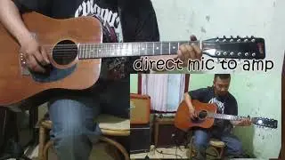 12 strings Greco Acoustic guitar - Greco W-160
