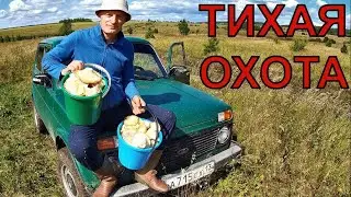 По грибным местам Мордовии..