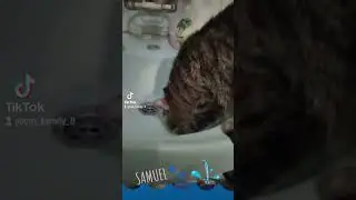 -ВОДА ! 💞