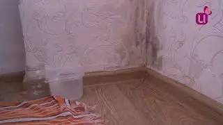 В квартирах холодно и сыро
