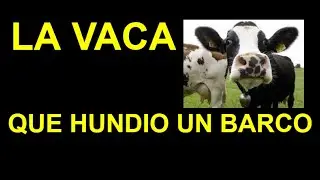 La Vaca que Hundio un Barco - Historia Real