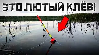НАПОРОЛ РЫБЫ В НОВОМ МЕСТЕ! Закинул и КЛЮЕТ КРУПНОЕ! Рыбалка 2024
