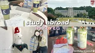 study abroad in Korea ⊹𐙚₊⟡ new year 🎊, my birthday 🎂, studying, winter days ☃️, life lately ep.8