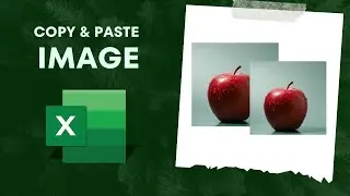 How to Copy and Paste a Image in Microsoft Excel